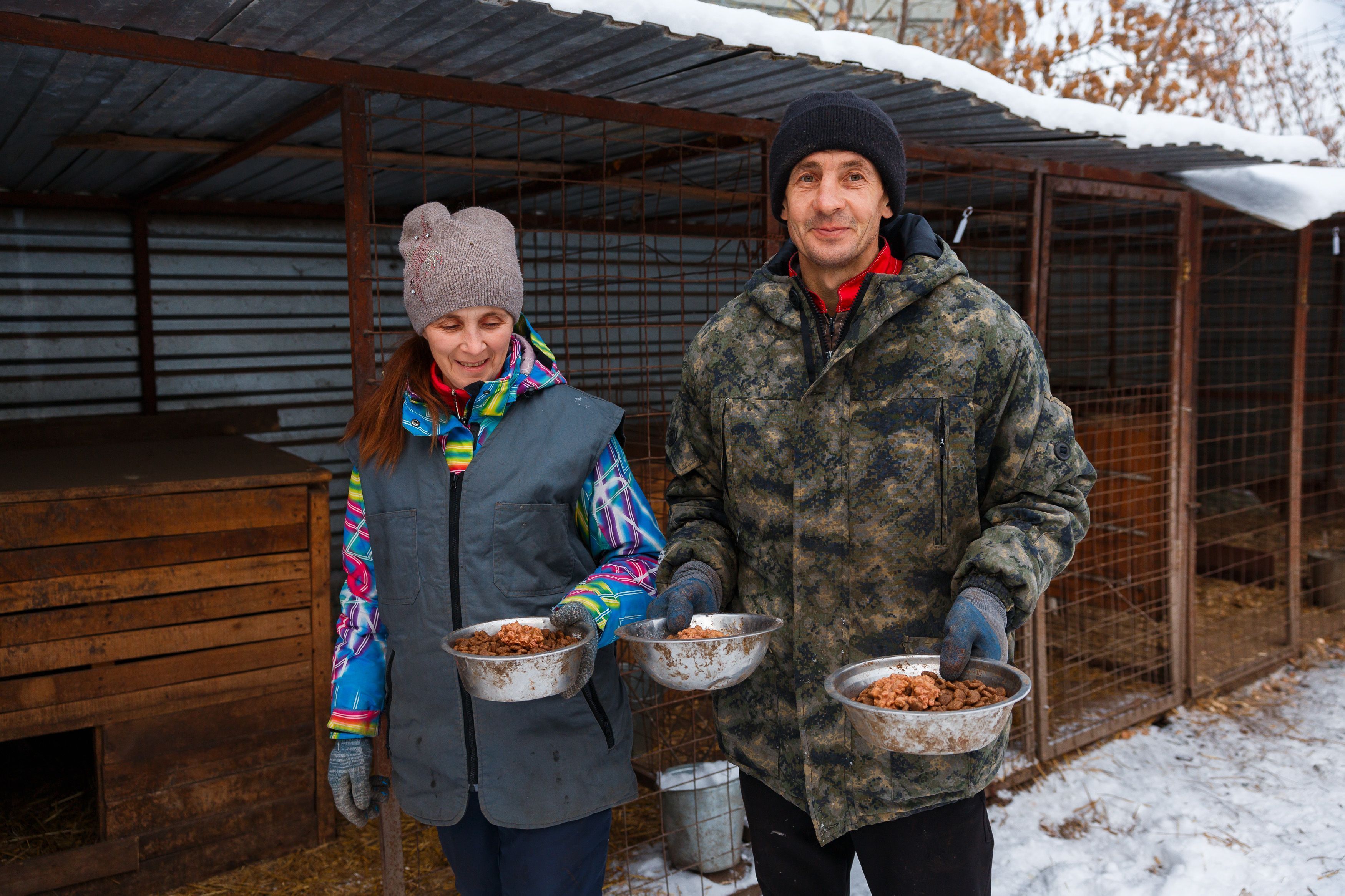 В приюты для бездомных животных Красноярска, Назарова, Канска энергетики СГК передали почти полтонны кормов