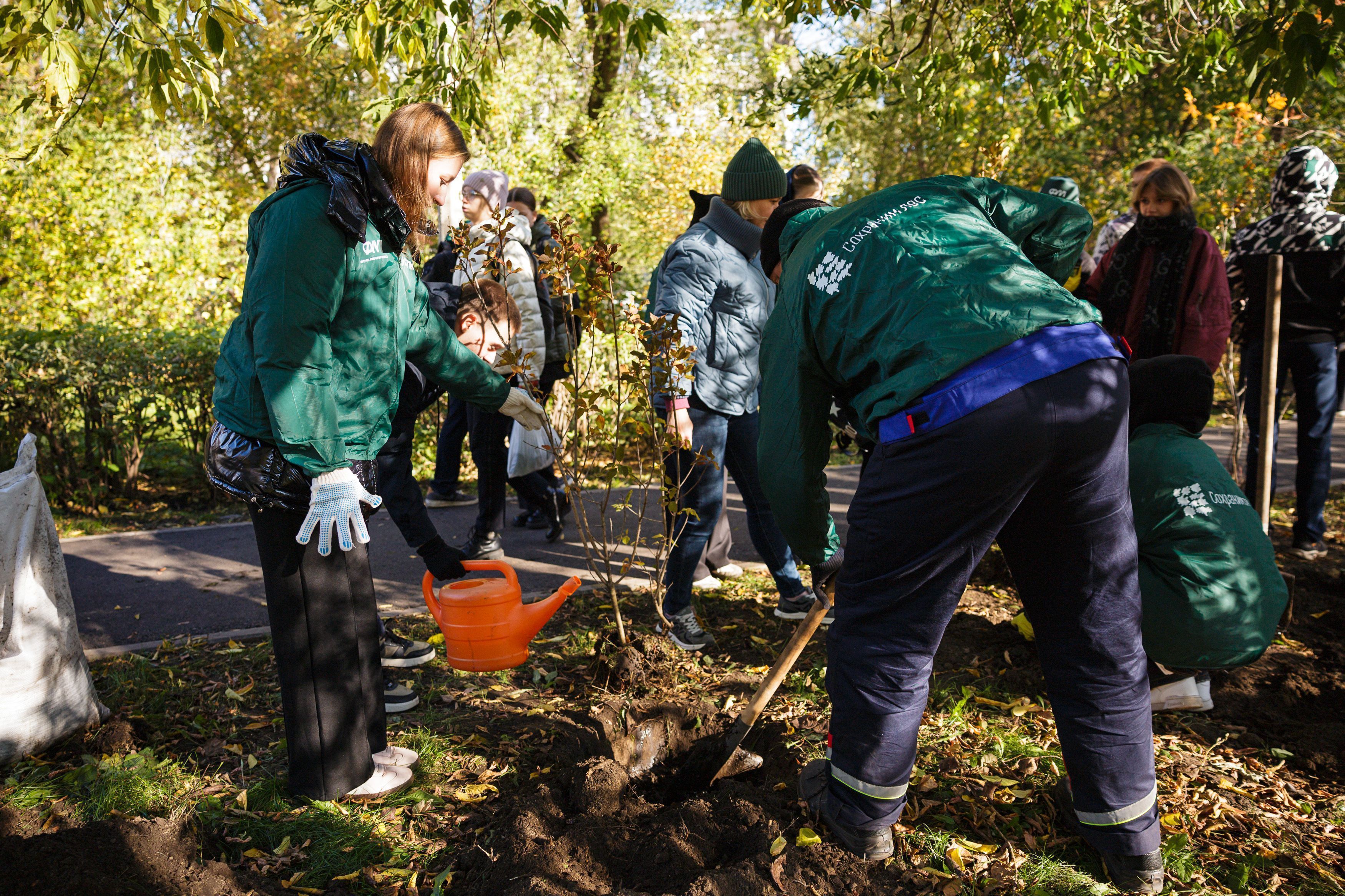 Экомарафон СГК: красноярские выпускники посадили аллею сирени у родной школы