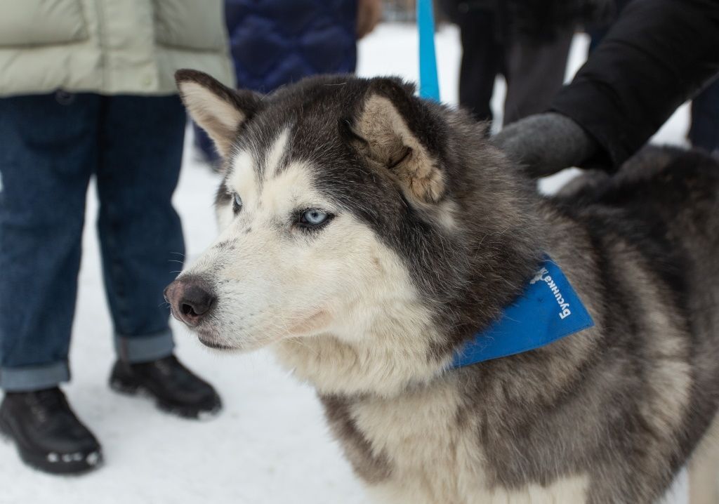 Мероприятие в поддержку проекта «За живое» в Барнауле. Фоторепортаж