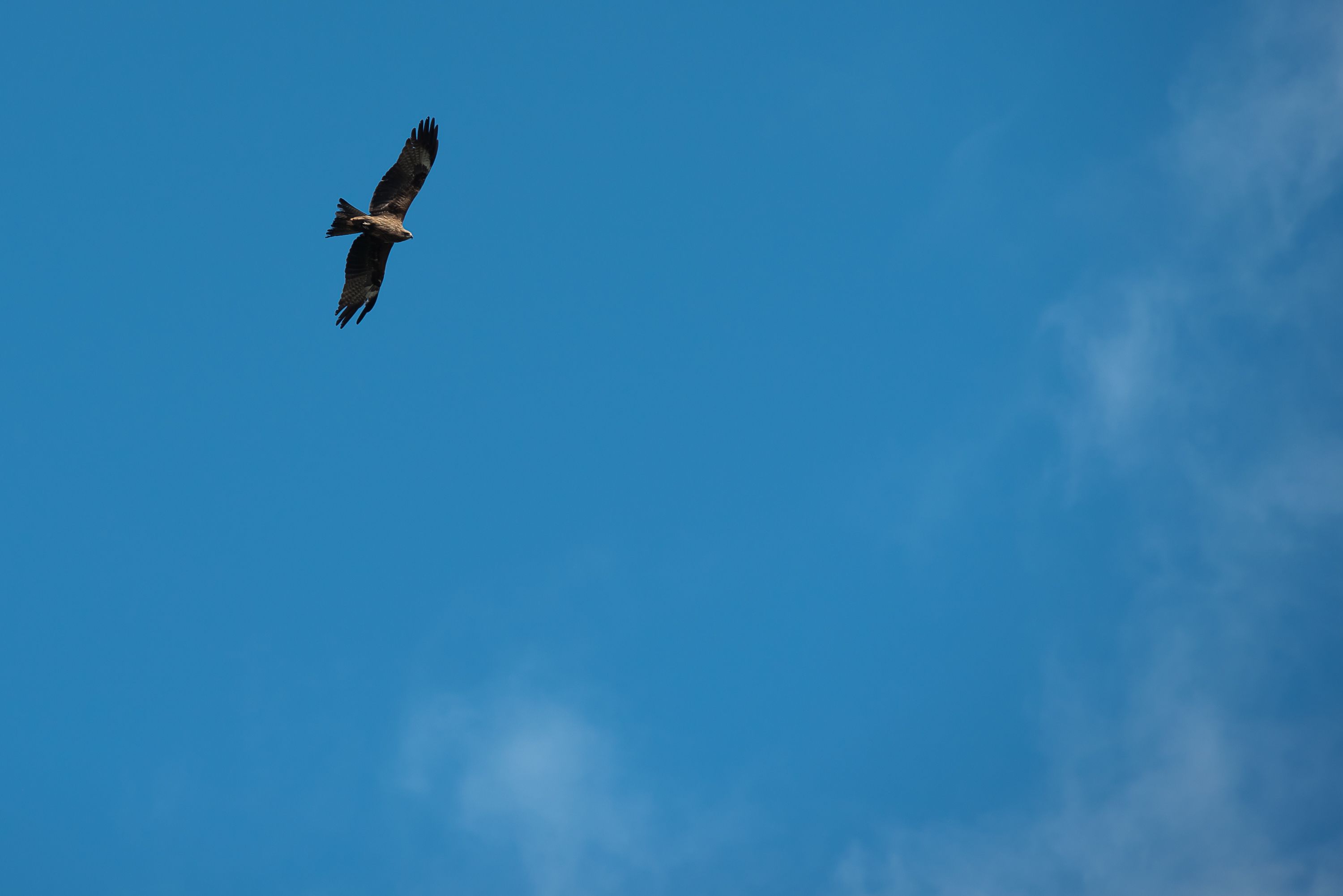 Морю — рыбу. СГК продолжает проект по зарыблению Беловского водохранилища