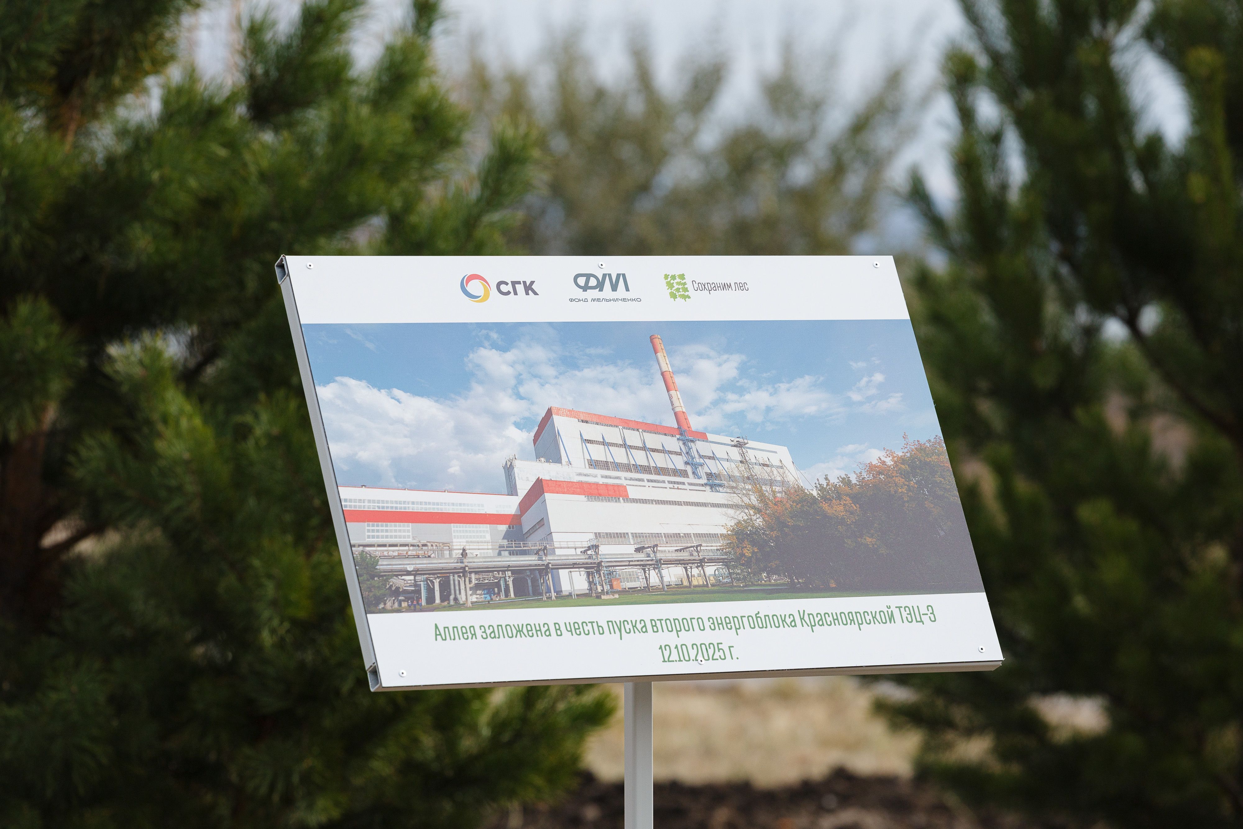 Финал осеннего Экомарафона СГК и Фонда Мельниченко: энергетики высадили аллею в честь пуска нового энергоблока на Красноярской ТЭЦ-3
