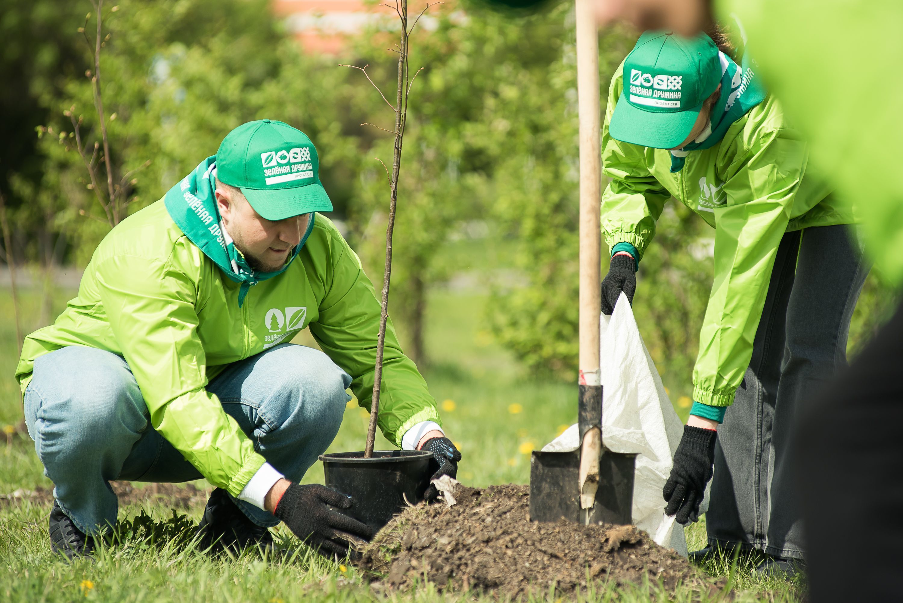 «Почувствовать землю» — энергетики СГК высадили деревья в Кемерове и Белове 