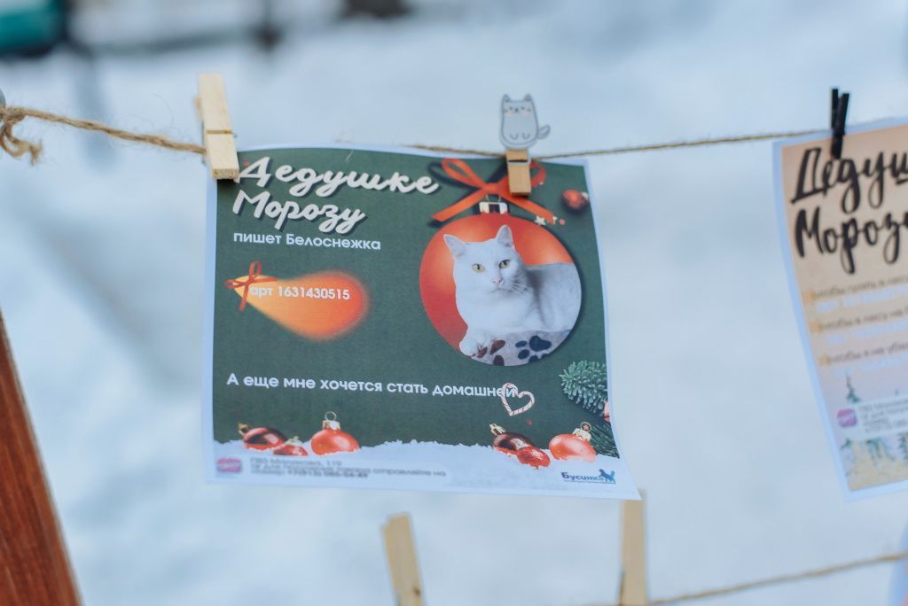 Мероприятие в поддержку проекта «За живое» в Барнауле. Фоторепортаж