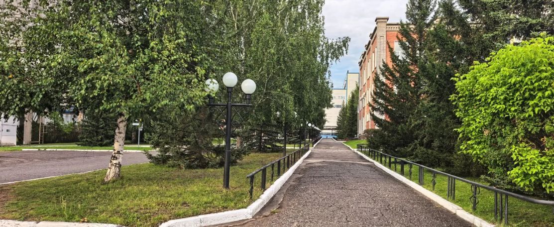 Солнце, ТЭЦ и витамины. Как на Минусинской ТЭЦ работают станционные смотрители за здоровьем