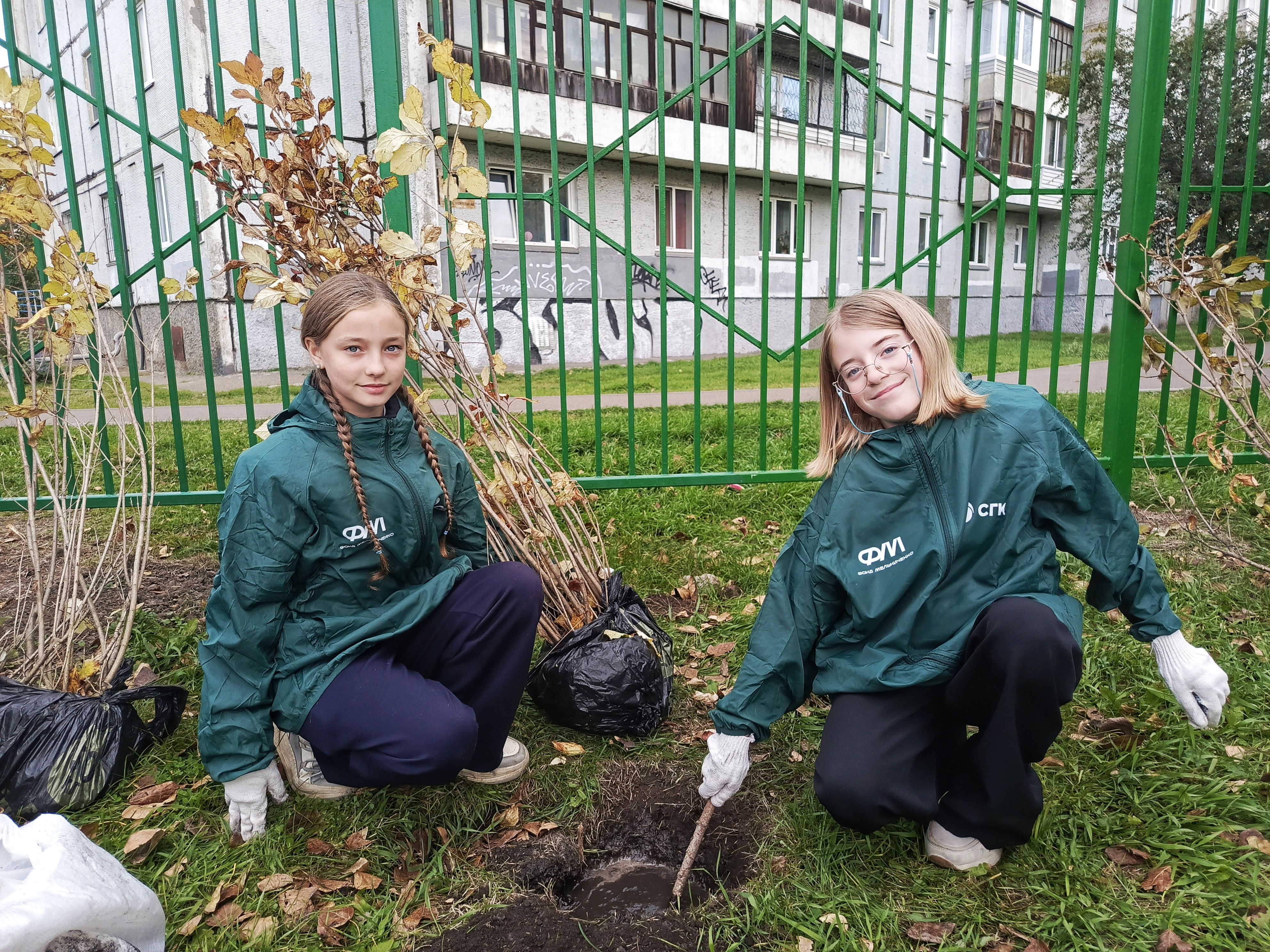 В красноярской школе высадили около 30 саженцев сирени