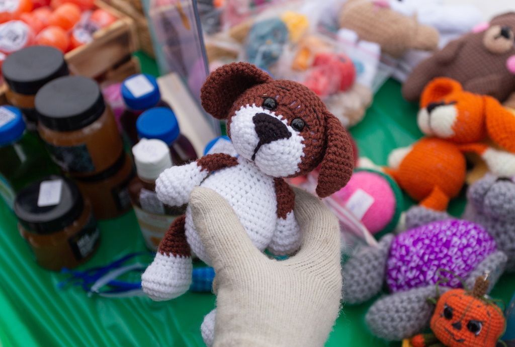 Мероприятие в поддержку проекта «За живое» в Барнауле. Фоторепортаж