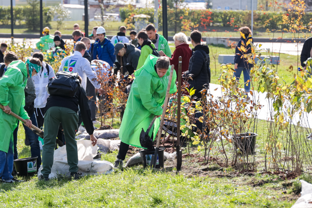 Плюс шесть тысяч деревьев в экологию: Зелёная дружина СГК завершила осенний Экомарафон в Красноярске