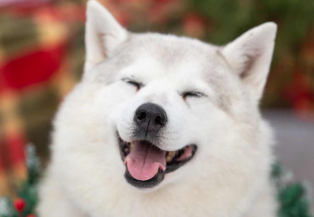 Мероприятие в поддержку проекта «За живое» в Барнауле. Фоторепортаж