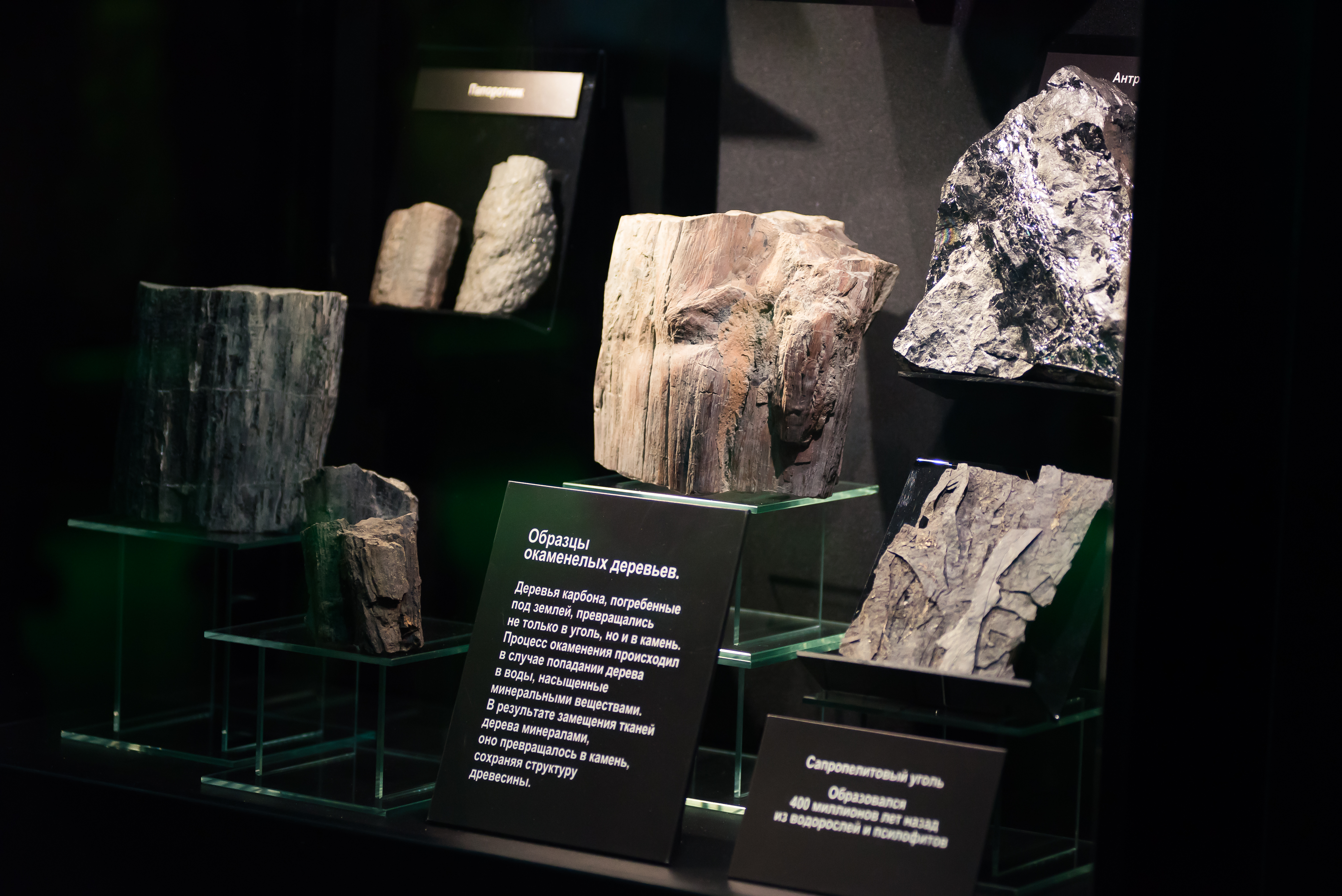 Важно — бумажно. В Кузбассе подведены итоги акции по сбору макулатуры «Бумажный бум 42»