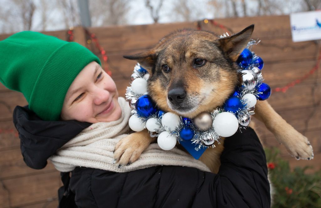 Мероприятие в поддержку проекта «За живое» в Барнауле. Фоторепортаж