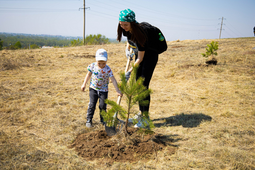 Лето будет зеленее! За одну весну сотрудники СГК высадили в Абакане около 300 деревьев