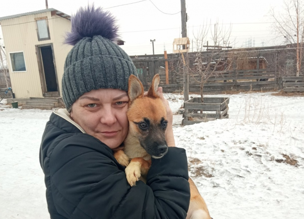 Спасибо за теплую зиму! Проект «За живое» помог приюту в Хакасии и переезжает в Новокузнецк
