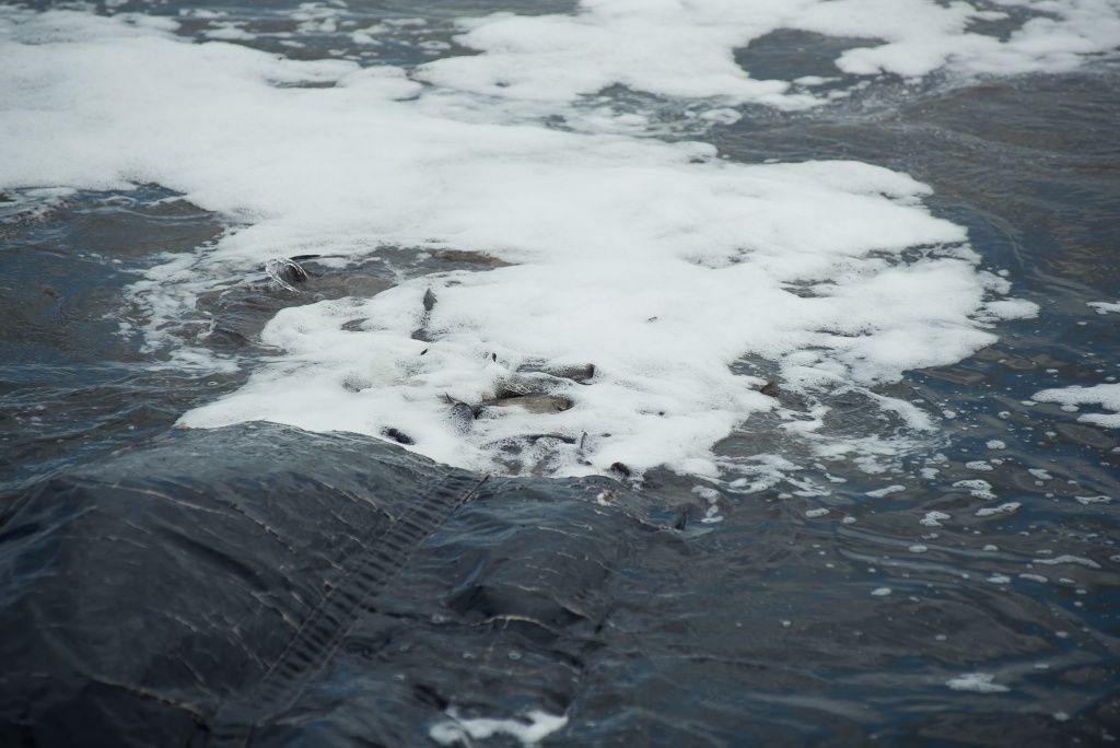 В новом доме