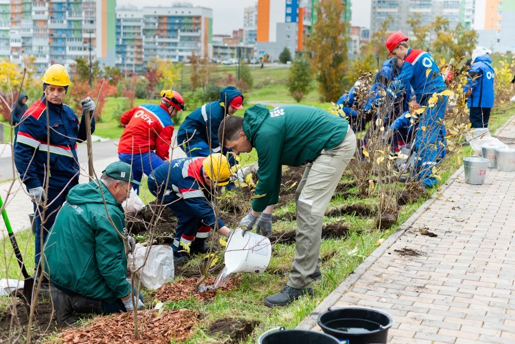 Все деревья тщательно поливают, чтобы корни напитались влагой