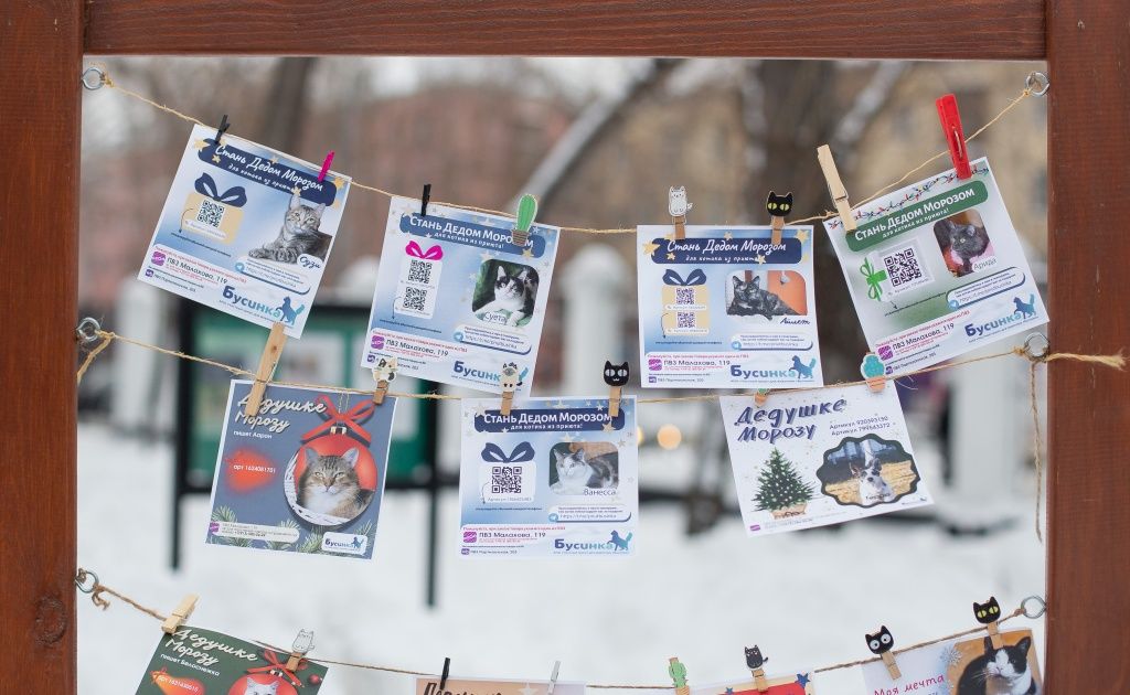 Участники мероприятия смогли подробнее узнать истории конкретных питомцев &laquo;Бусинки&raquo;