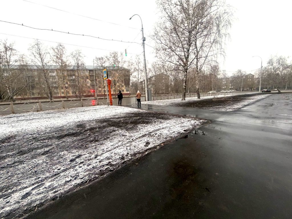 Следующей весной здесь взойдет газонная трава 