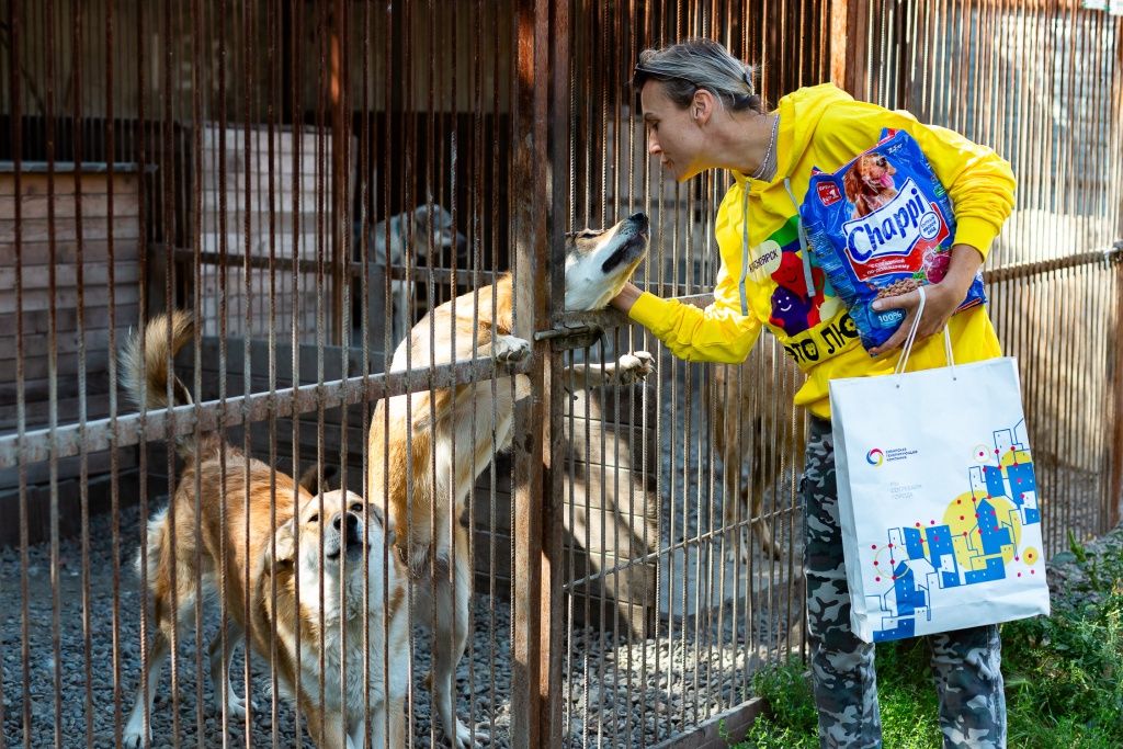 В СГК много случаев, когда сотрудники забирали животных из приютов домой, поэтому на предложение о поддержке таких организаций в компании откликаются очень охотно 