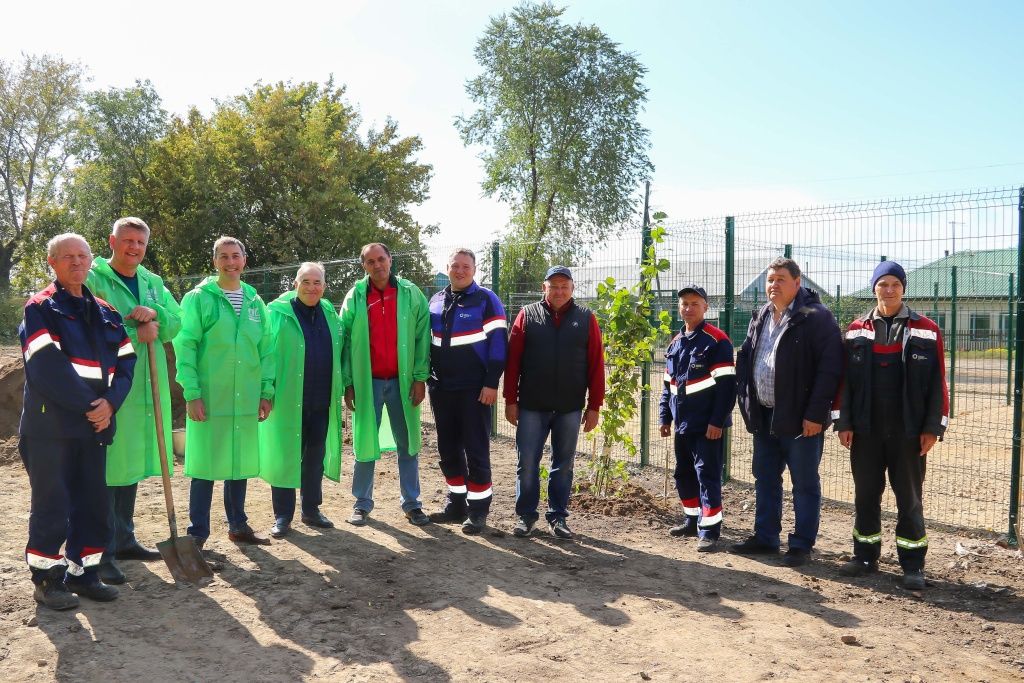 На ул. Карла Маркса в Рубцовске появились новые липы, здесь же планируется высадить молодые рябины