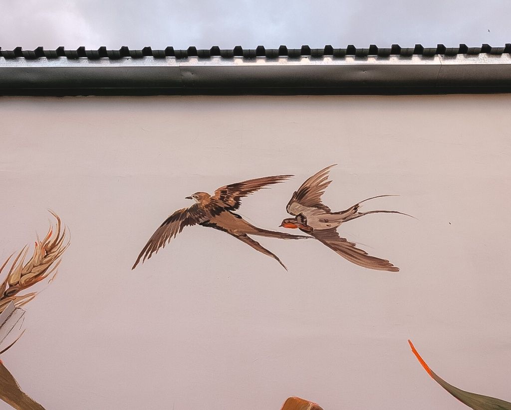 Неугомонные стрижи