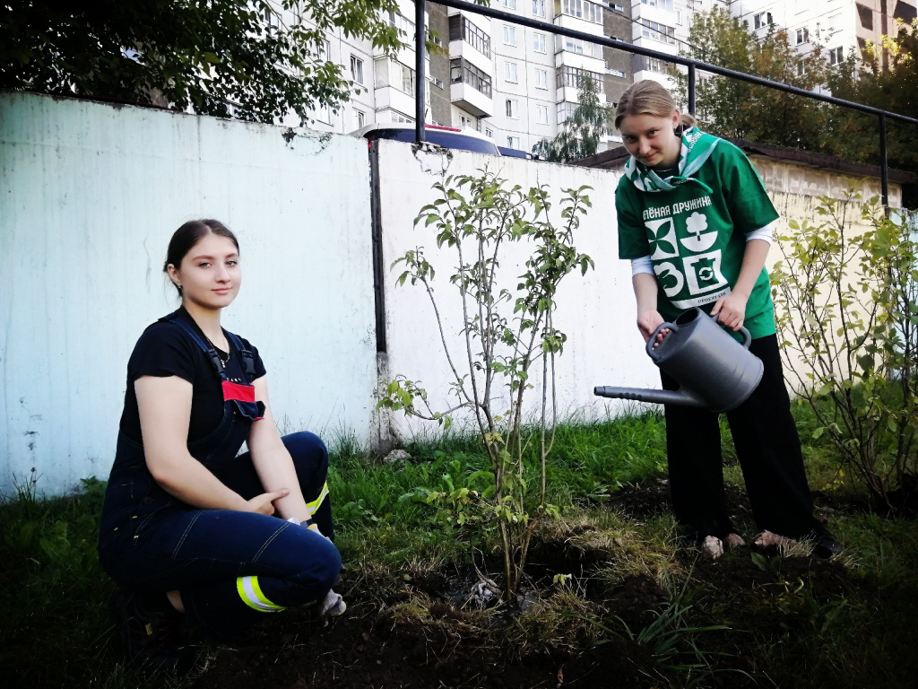 Волонтёры «Зеленой дружины» вместе со старшеклассниками высадили деревья в Свердловском районе Красноярска 