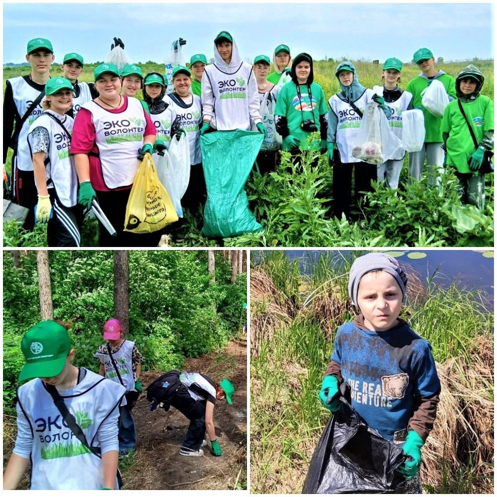 Активисты проекта &laquo;Pro_Эко&raquo; проводят лето с пользой