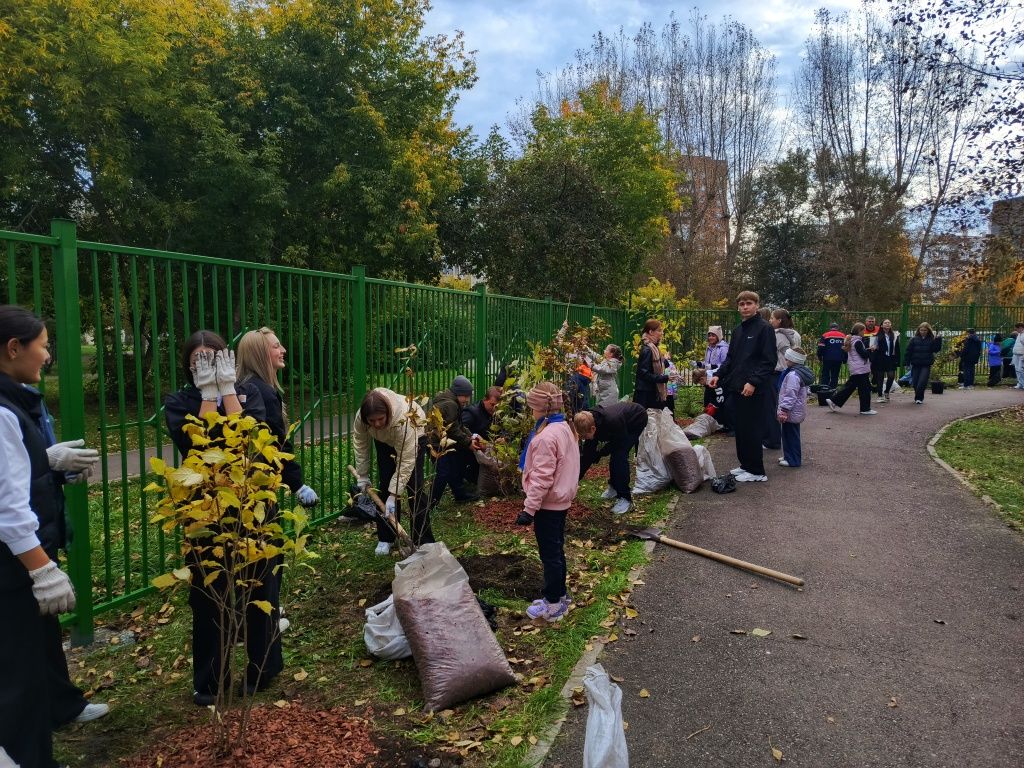 Высаживать молодые деревца сотрудникам СГК помогали ученики и учителя школы