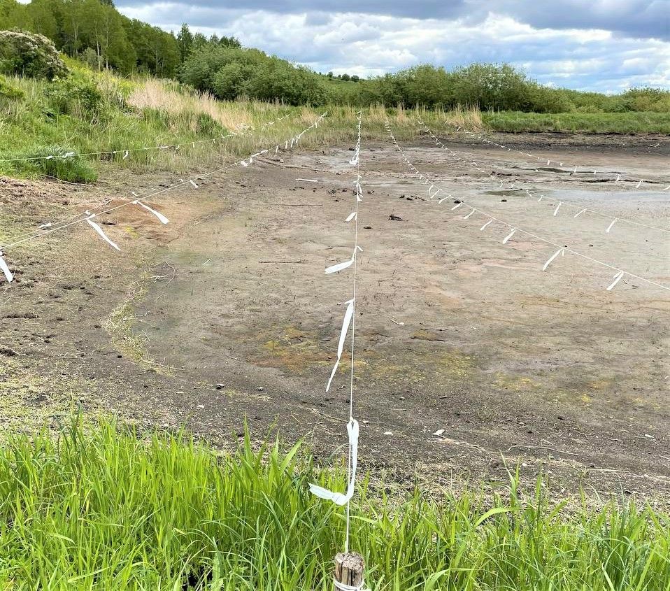 Для борьбы с птицами используют ленточки на веревках над озером. Они колышатся на ветру. создают иллюзию опасности, да и просто мешают подлететь крылатым хищникам за обедом