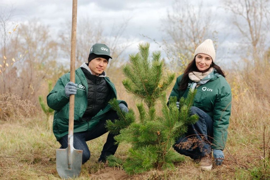 В этом году Абакан стал на 220 деревьев зеленее