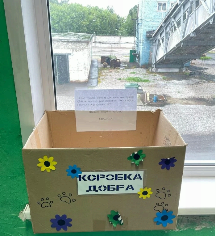 Вот такие, подготовленные своими руками, с любовью, &laquo;Коробки добра&raquo; появились в котельных и центральном офисе предприятия &laquo;Теплоэнергетик&raquo; в Белове