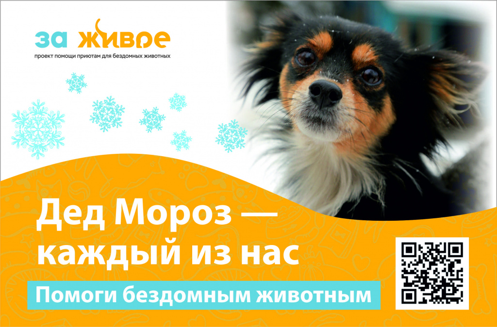 Изображение Кнопы попало и на рекламные листовки, которые мы размещали в лифтах Кемерова и Новокузнецка перед новым годом
