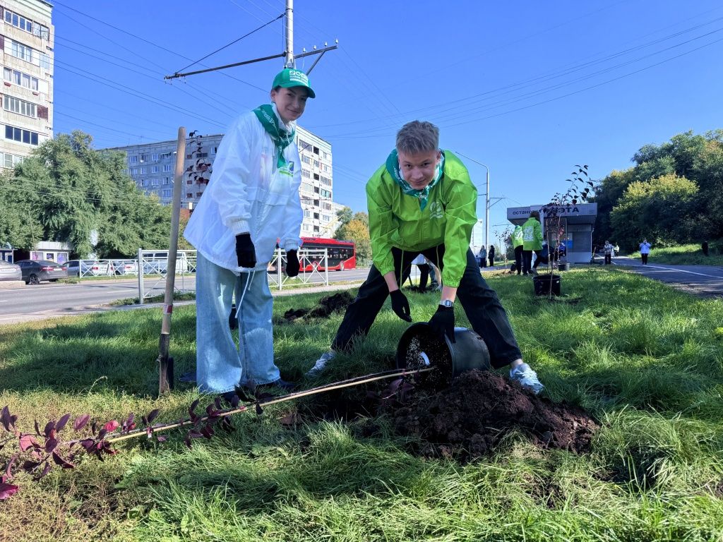 Красота требует аккуратности! 