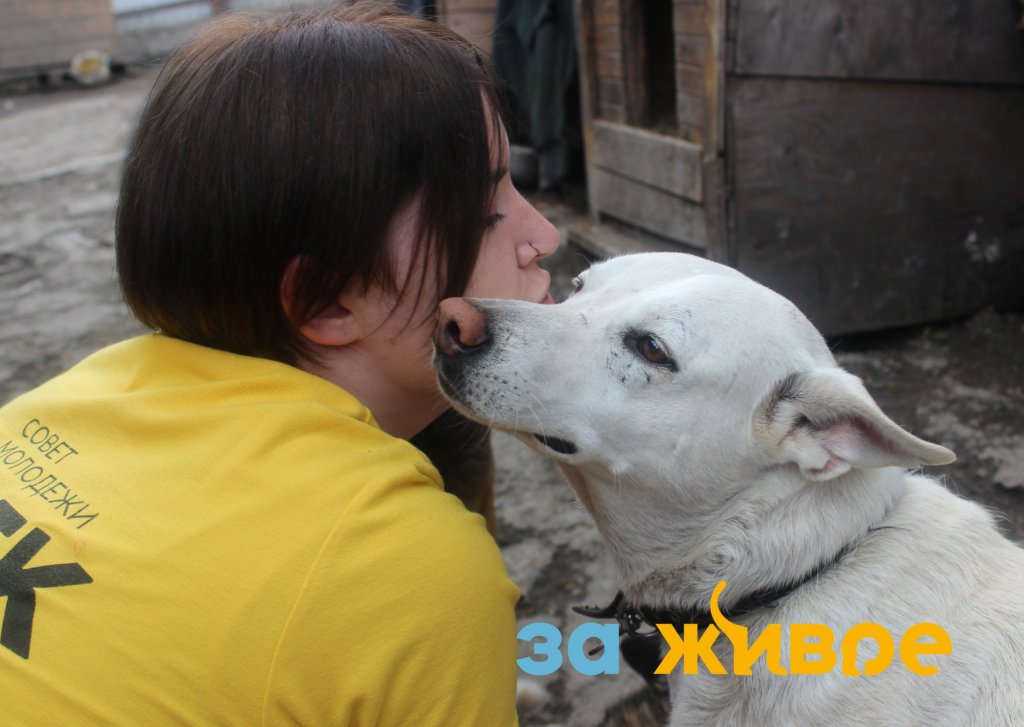 Питомцы &laquo;Дома друзей&raquo; отвечают на заботу нежностью и благодарностью