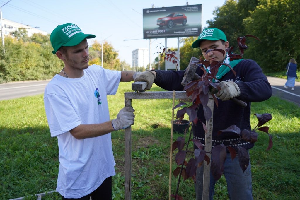 Деревянные конструкции защищают от снегоуборочной техники 