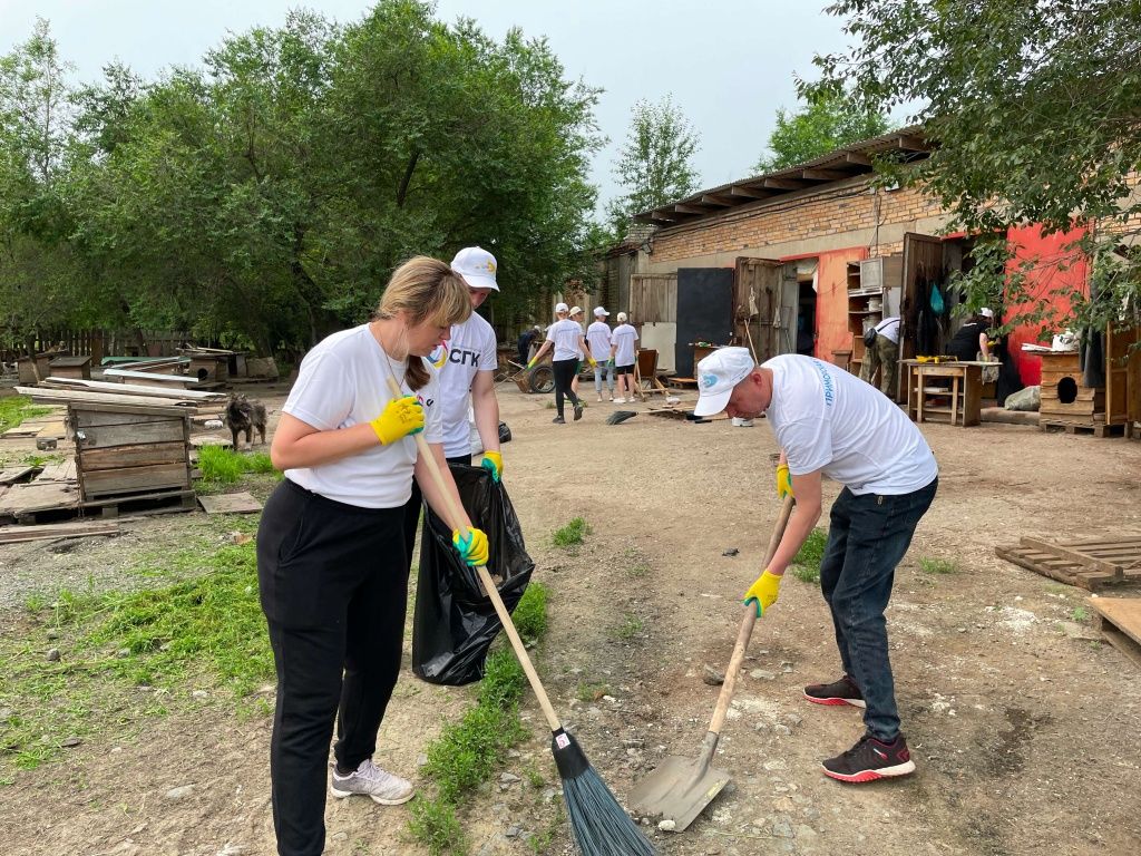 После того, как территория приюта была убрана, специальная служба выполнила ее обработку от бактерий и вирусов