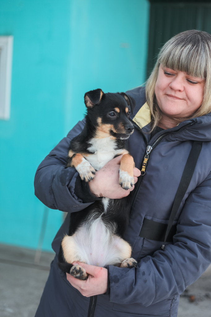 Это местный врач — Светлана Халявина. Единственный ветеринар на весь приют. На руках у нее трехмесячная Боня