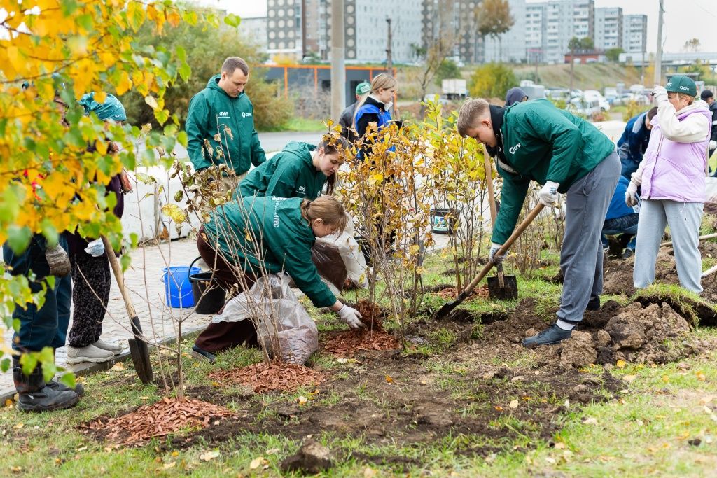 Зелёные насаждения украшают территории школ, детских садов и общественные пространства