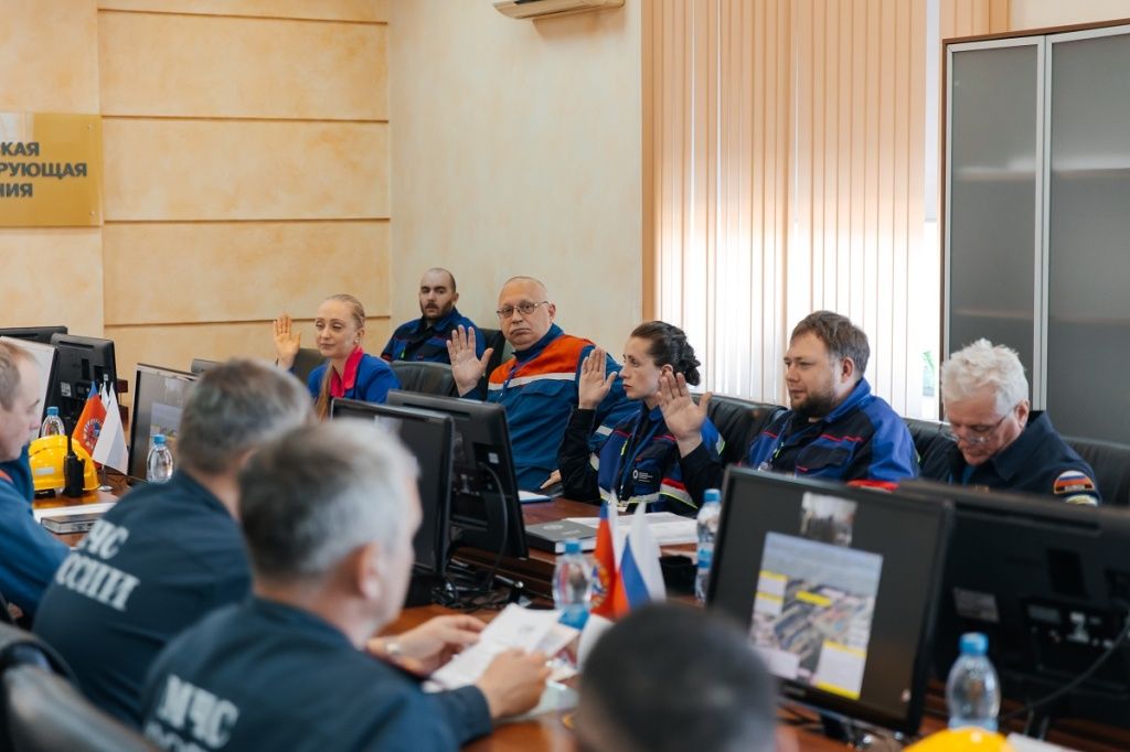 Выработкой решений по ликвидации ЧС и непосредственной его реализации на практике занимается комиссия по чрезвычайным ситуациям и обеспечению пожарной безопасности