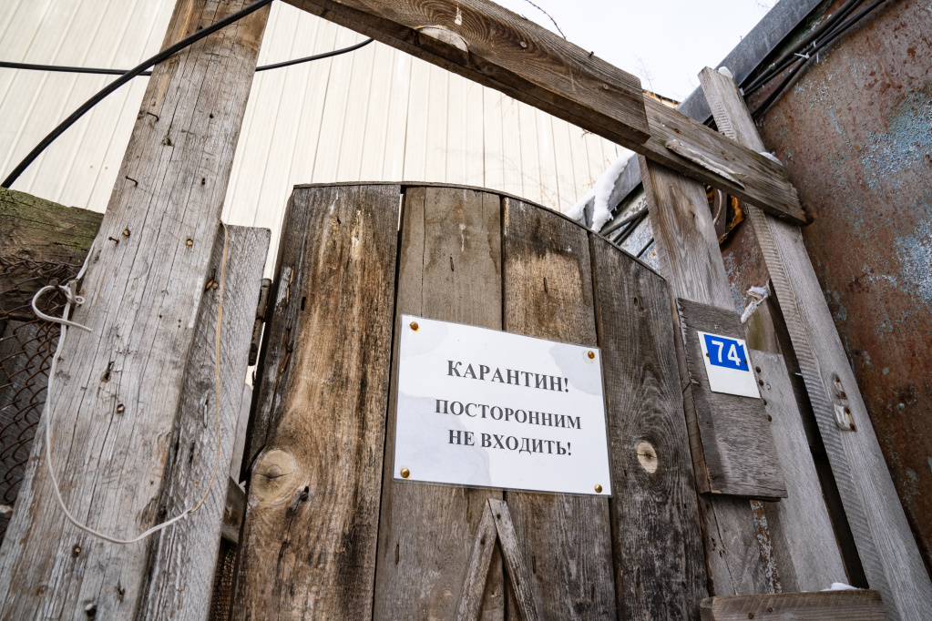 Год начинается с добра: СГК открыла медицинский блок в приюте Новосибирска