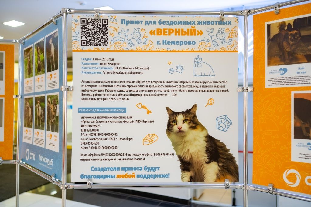 Фотовыставка с питомцами приюта не оставила равнодушными посетителей крупного кемеровского ТЦ 