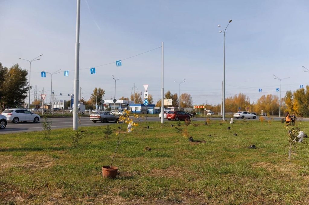 Деревья в городе должны быть не только красивыми, но и неприхотливыми