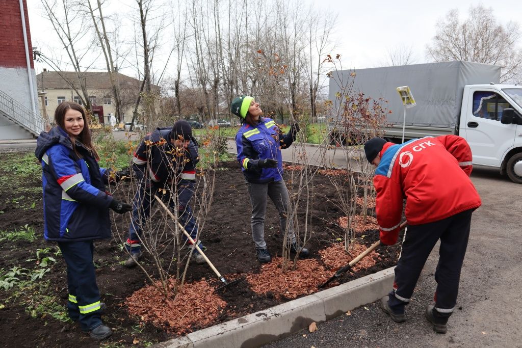 Сохраним лес вместе