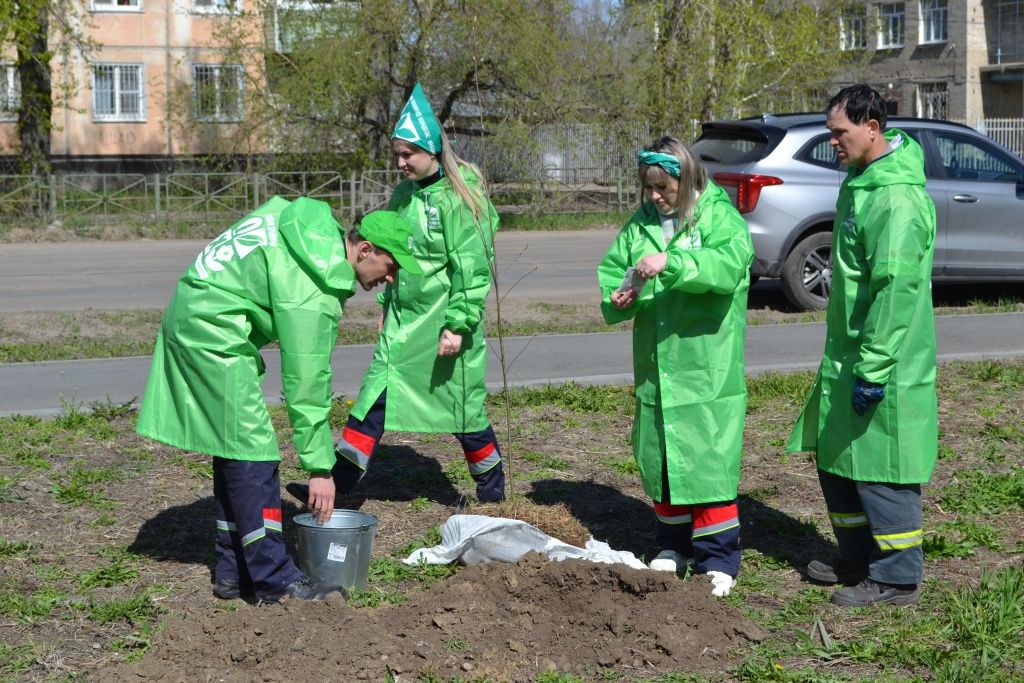 Экологическая акция в Рубцовске 