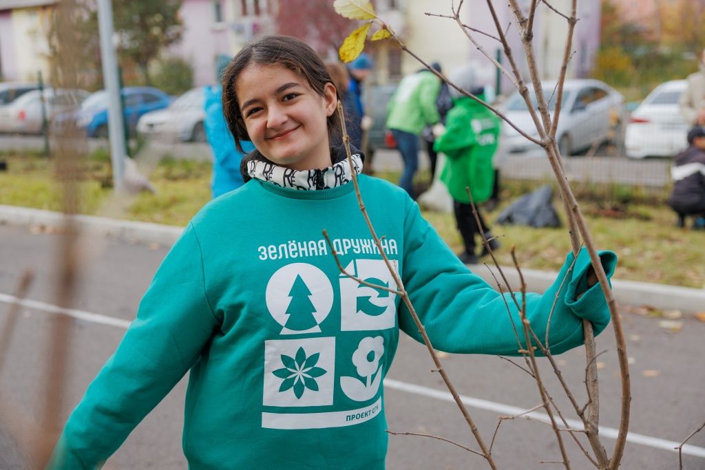 Во дворе школы появилась зеленая аллея