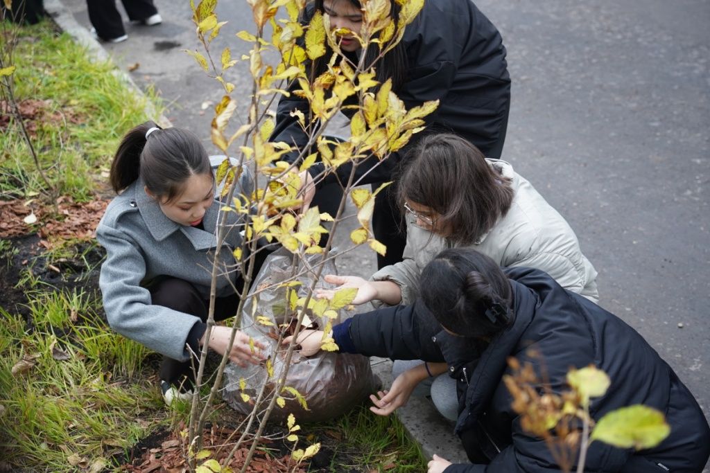 Осенняя акция &mdash; этап большого ежегодного экомарафона 