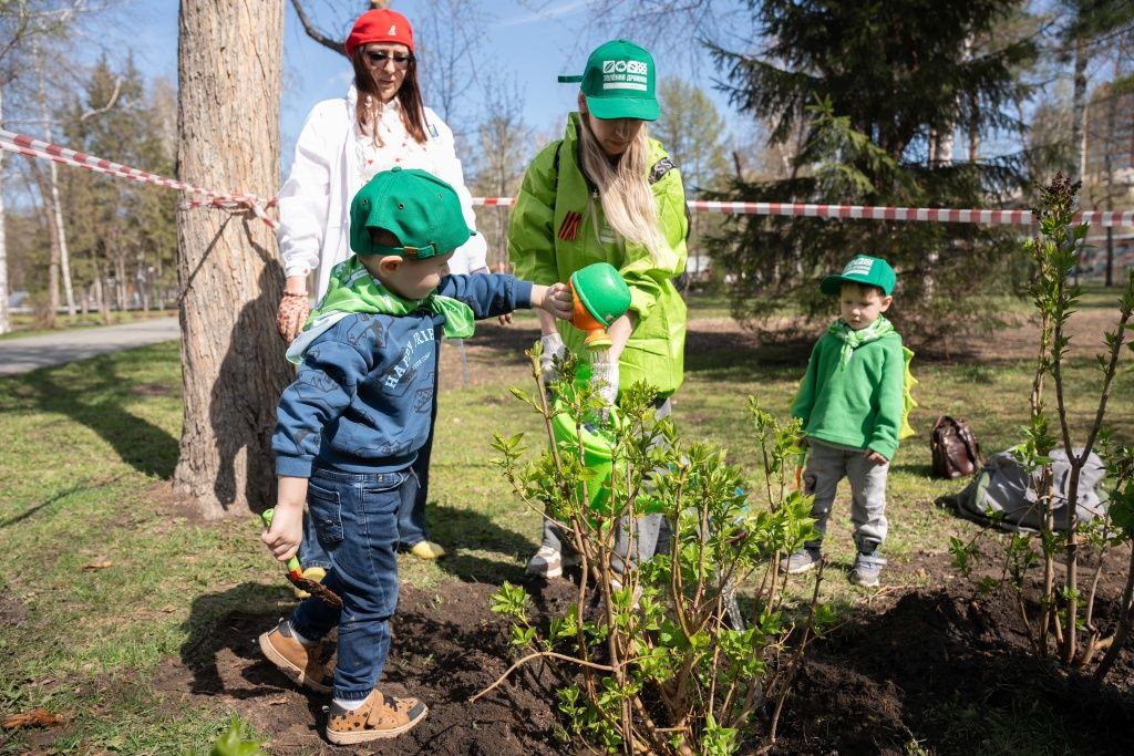 Высадка сиреневой аллеи в Центральном парке Новосибирска, посвященная юбилею Победы