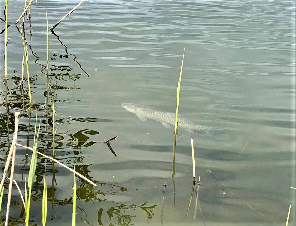 Первый осмотр местности