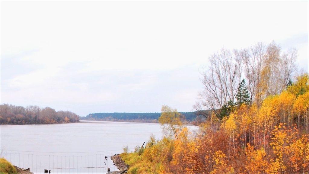 С пользой для станции и для реки. СГК проводит очистку водозаборного ковша Бийской ТЭЦ 