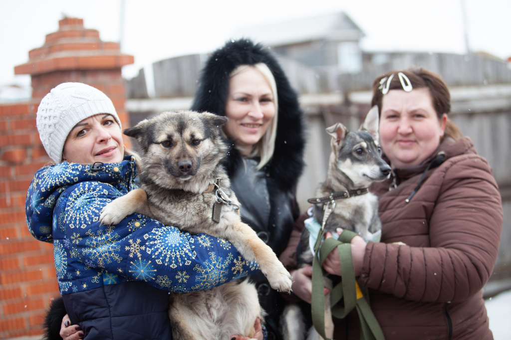 Протяни руку помощи «Четырём лапам» — приюту для бездомных животных из Назарова