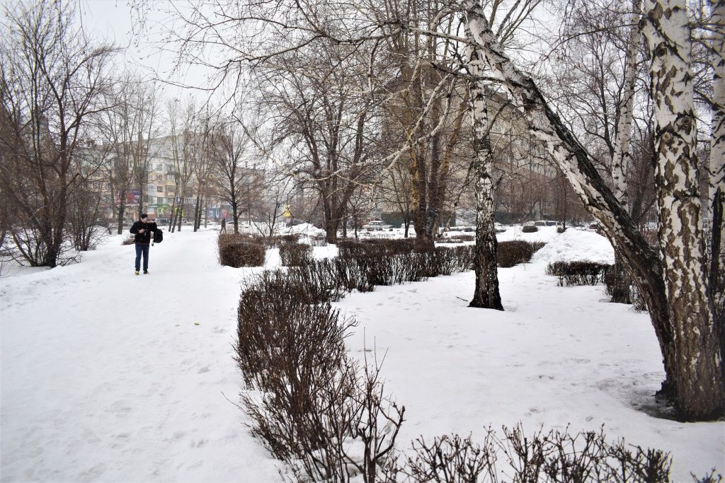 Сквер Центральный в Бийске