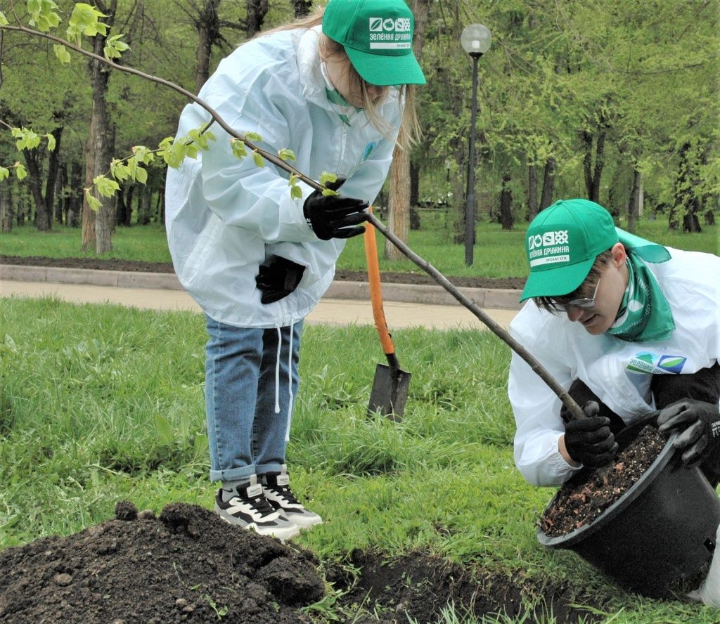 После сильных постукиваний по горшку, в котором к месту высадки был доставлен саженец, деревце нужно было аккуратно вынуть, не повредив корневую систему